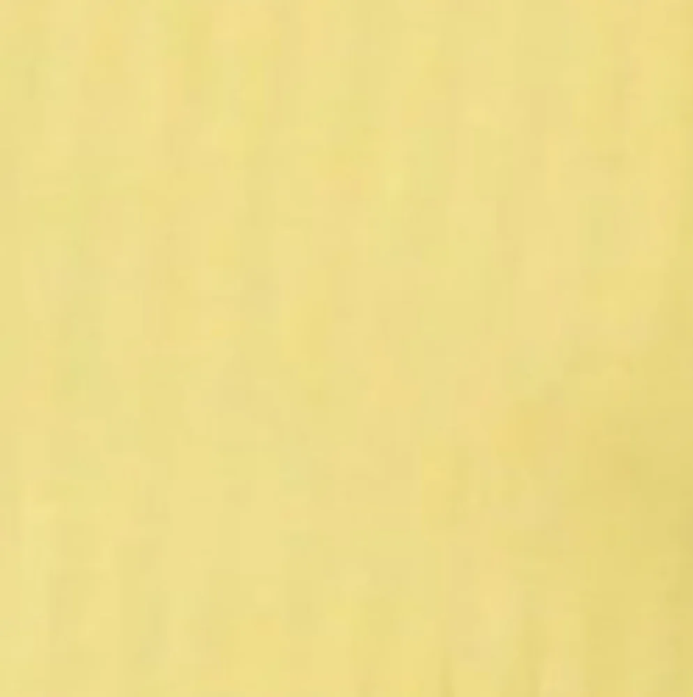 Womens plus sz 2xl Yellow Ribbed Camisole tank top Nwtgs - Picture 3 of 4